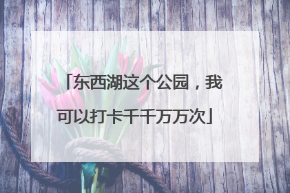 东西湖这个公园，我可以打卡千千万万次