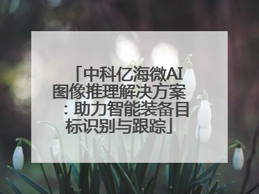 中科亿海微AI图像推理解决方案：助力智能装备目标识别与跟踪