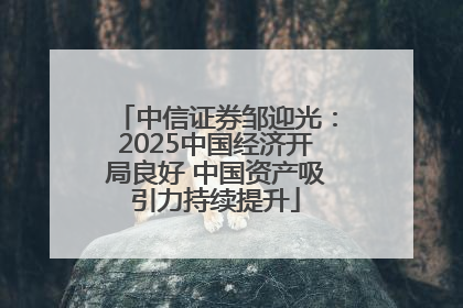 中信证券邹迎光：2025中国经济开局良好 中国资产吸引力持续提升