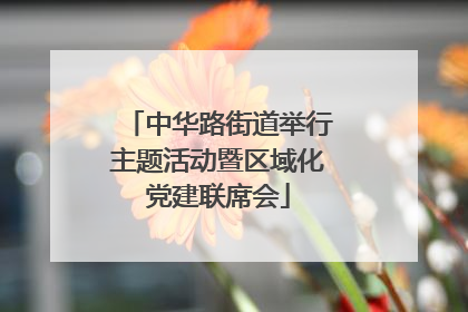中华路街道举行主题活动暨区域化党建联席会