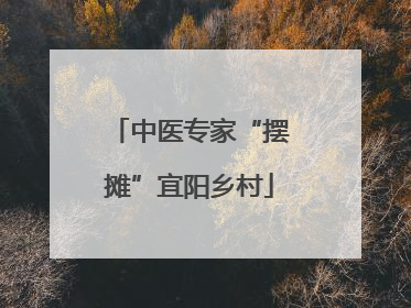 中医专家“摆摊”宜阳乡村