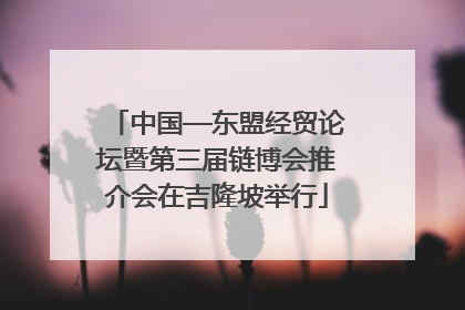 中国—东盟经贸论坛暨第三届链博会推介会在吉隆坡举行