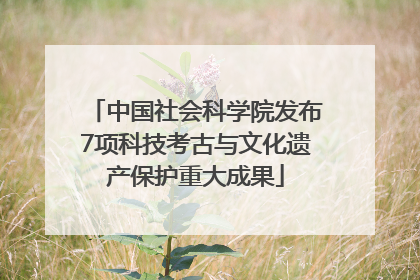 中国社会科学院发布7项科技考古与文化遗产保护重大成果