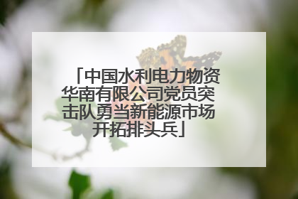 中国水利电力物资华南有限公司党员突击队勇当新能源市场开拓排头兵