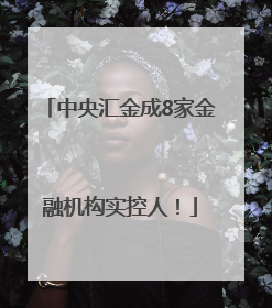 中央汇金成8家金融机构实控人！