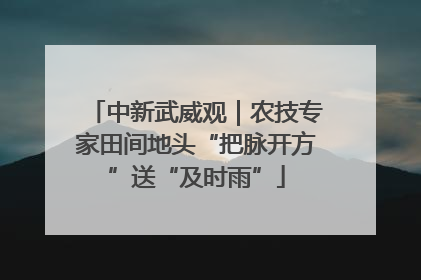 中新武威观｜农技专家田间地头“把脉开方”送“及时雨”