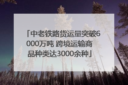 中老铁路货运量突破6000万吨 跨境运输商品种类达3000余种