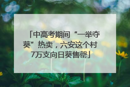 中高考期间“一举夺葵”热卖，六安这个村7万支向日葵售罄