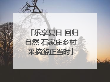 乐享夏日 回归自然 石家庄乡村采摘游正当时