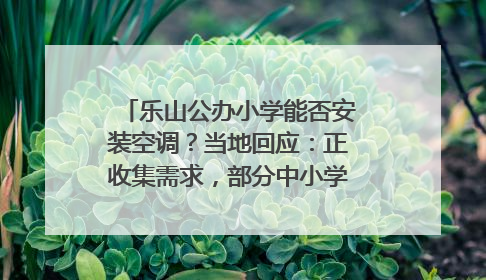 乐山公办小学能否安装空调？当地回应：正收集需求，部分中小学已启动安装｜云求助