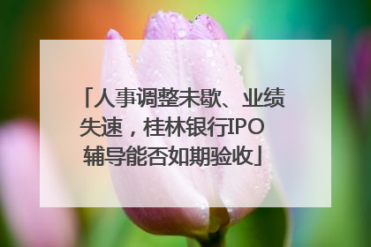 人事调整未歇、业绩失速，桂林银行IPO辅导能否如期验收