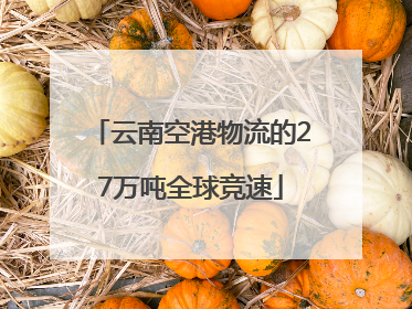 云南空港物流的27万吨全球竞速