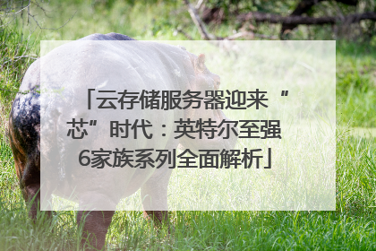云存储服务器迎来“芯”时代：英特尔至强6家族系列全面解析