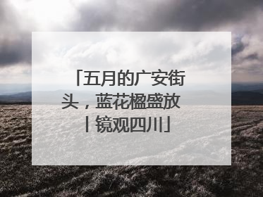 五月的广安街头，蓝花楹盛放丨镜观四川