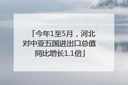 今年1至5月，河北对中亚五国进出口总值同比增长1.1倍
