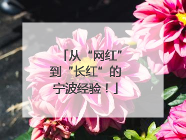 从“网红”到“长红”的宁波经验！