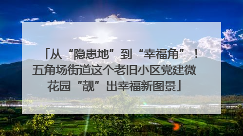 从“隐患地”到“幸福角”！五角场街道这个老旧小区党建微花园“靓”出幸福新图景