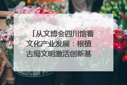 从文博会四川馆看文化产业发展：根植古蜀文明激活创新基因｜文博向“新”