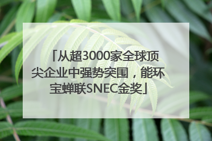 从超3000家全球顶尖企业中强势突围，能环宝蝉联SNEC金奖