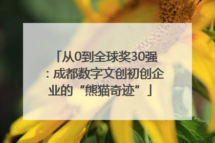 从0到全球奖30强：成都数字文创初创企业的“熊猫奇迹”