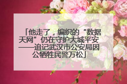 他走了，编织的“数据天网”仍在守护大城平安——追记武汉市公安局因公牺牲民警万松