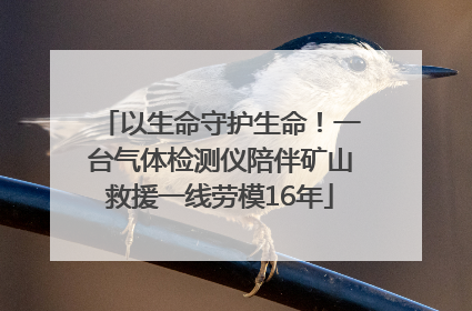 以生命守护生命！一台气体检测仪陪伴矿山救援一线劳模16年