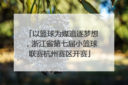 以篮球为媒追逐梦想，浙江省第七届小篮球联赛杭州赛区开赛