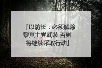 以防长：必须解除黎真主党武装 否则将继续采取行动