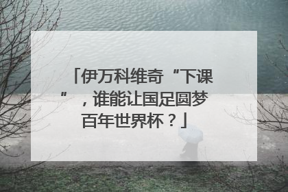 伊万科维奇“下课”，谁能让国足圆梦百年世界杯？