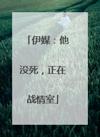 伊媒：他没死，正在战情室