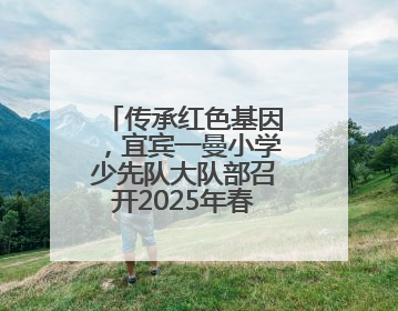 传承红色基因，宜宾一曼小学少先队大队部召开2025年春期工作总结会
