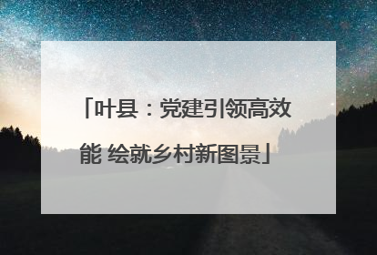叶县：党建引领高效能 绘就乡村新图景