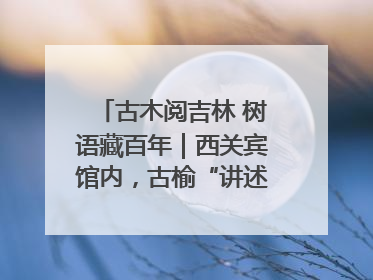 古木阅吉林 树语藏百年｜西关宾馆内，古榆“讲述”时光絮语
