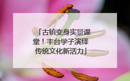 古镇变身实景课堂！丰台学子演绎传统文化新活力