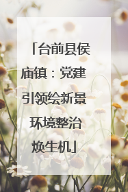 台前县侯庙镇：党建引领绘新景 环境整治焕生机