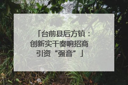 台前县后方镇：创新实干奏响招商引资“强音”