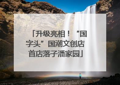 升级亮相！“国字头”国潮文创店首店落子潘家园