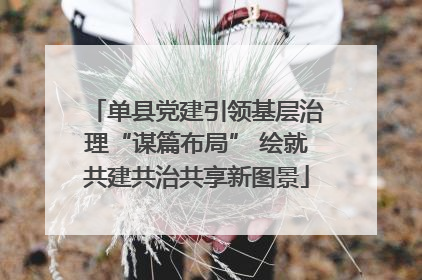 单县党建引领基层治理“谋篇布局” 绘就共建共治共享新图景