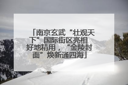 南京玄武“壮观天下”国际街区亮相 好地精用，“金陵封面”焕新通四海