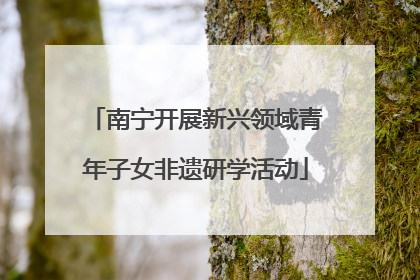 南宁开展新兴领域青年子女非遗研学活动