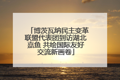 博茨瓦纳民主变革联盟代表团到访湖北嘉鱼 共绘国际友好交流新画卷
