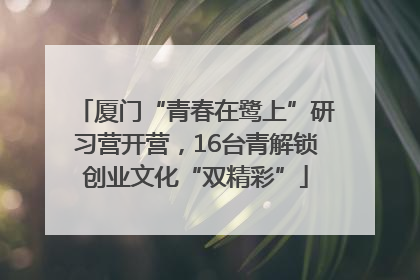 厦门“青春在鹭上”研习营开营，16台青解锁创业文化“双精彩”