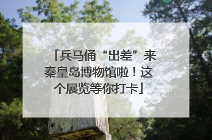 兵马俑“出差”来秦皇岛博物馆啦！这个展览等你打卡