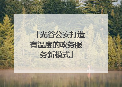 光谷公安打造有温度的政务服务新模式