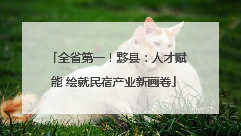 全省第一！黟县：人才赋能 绘就民宿产业新画卷