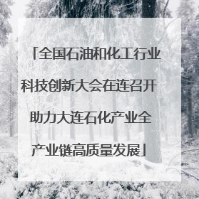 全国石油和化工行业科技创新大会在连召开 助力大连石化产业全产业链高质量发展