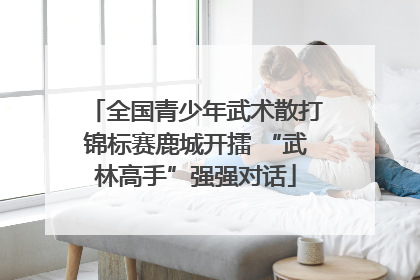 全国青少年武术散打锦标赛鹿城开擂 “武林高手”强强对话