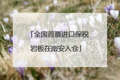 全国首票进口保税岩板在南安入仓