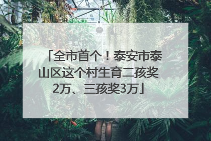 全市首个！泰安市泰山区这个村生育二孩奖2万、三孩奖3万