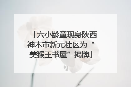 六小龄童现身陕西神木市新元社区为“美猴王书屋”揭牌